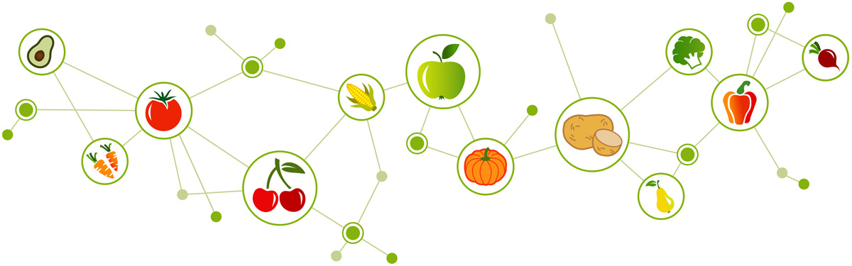STUDIO CECCHI SALUTE PREVENZIONE ALIMENTAZIONE 03
