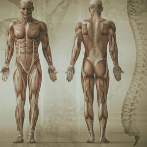 testimonianze-postura studio cecchi chiropratico