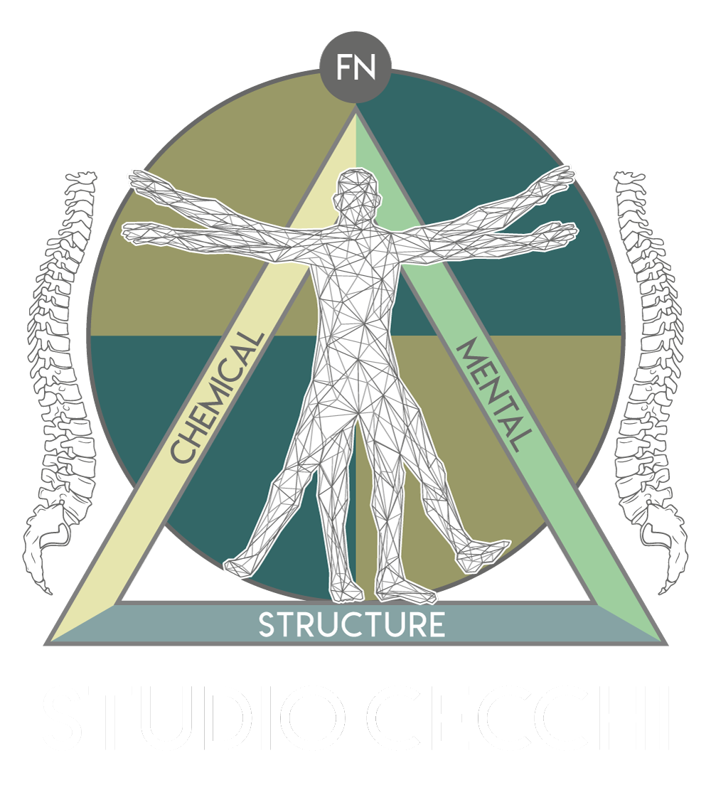 logo STUDIO CECCHI CHIROPRATICO GONSTEAD TORINO KINESIOLOGIA NEUROLOGIA FUNZIONALE SPORTIVA UCLA
